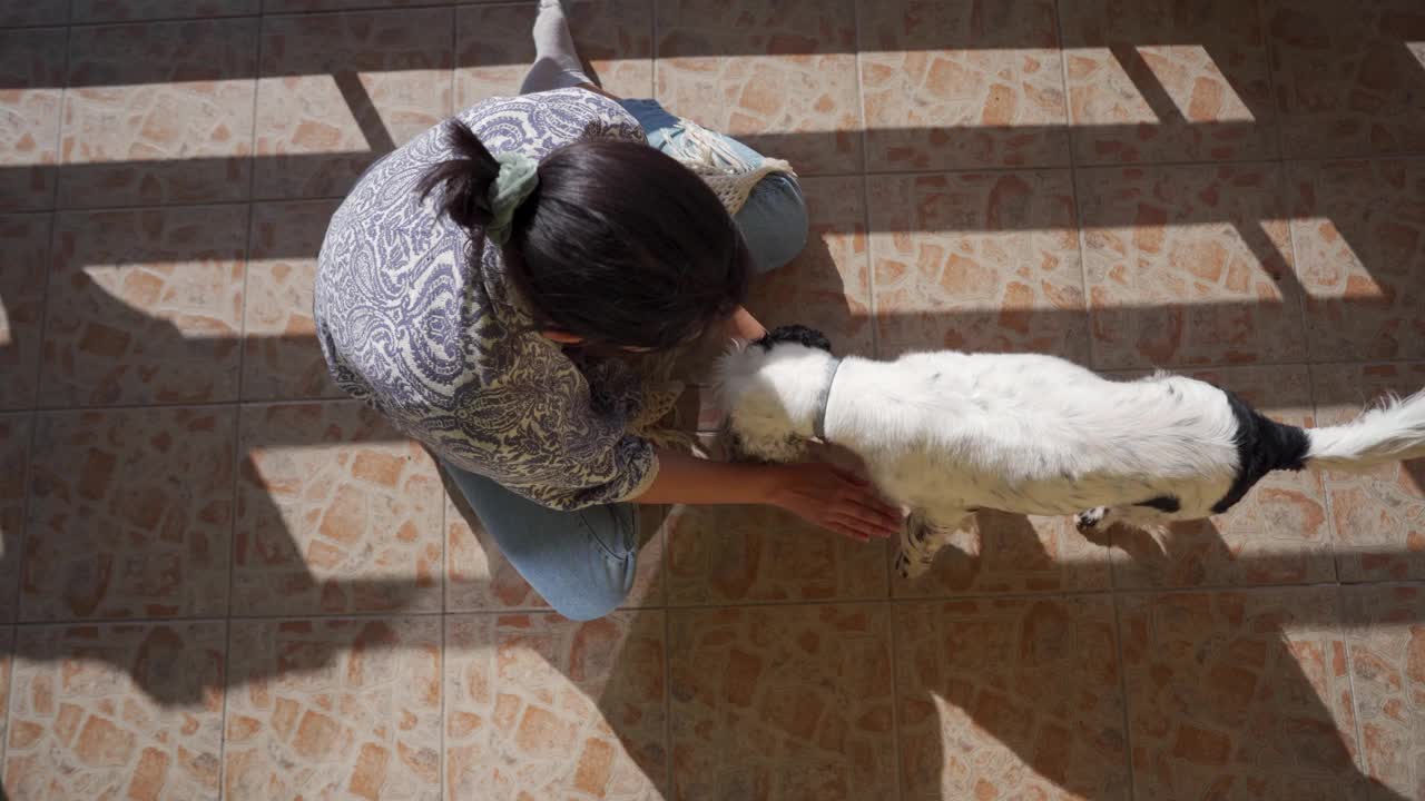 幸福是当我和我顽皮的英国可卡犬在一起的时候视频素材