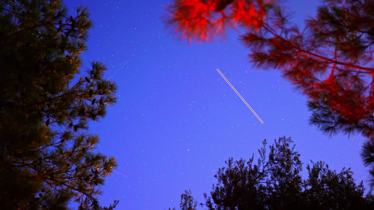 时间流逝镜头的星星和夜空在森林视频素材