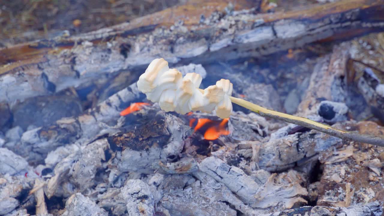 野外野餐——在火上煮棉花糖。棉花糖串在木炭上烤。视频素材