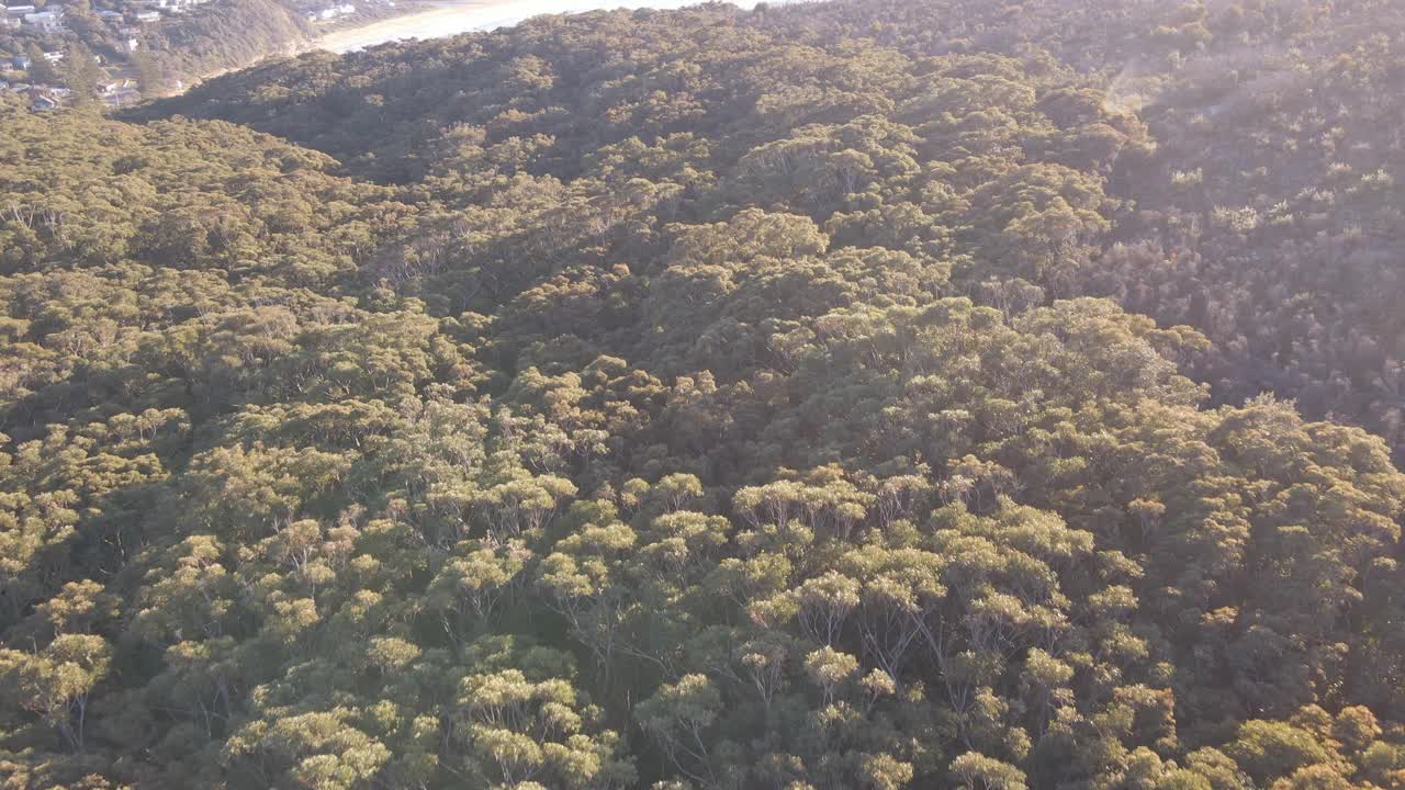 澳大利亚新南威尔士州中央海岸的麦克马斯特海滩视频素材