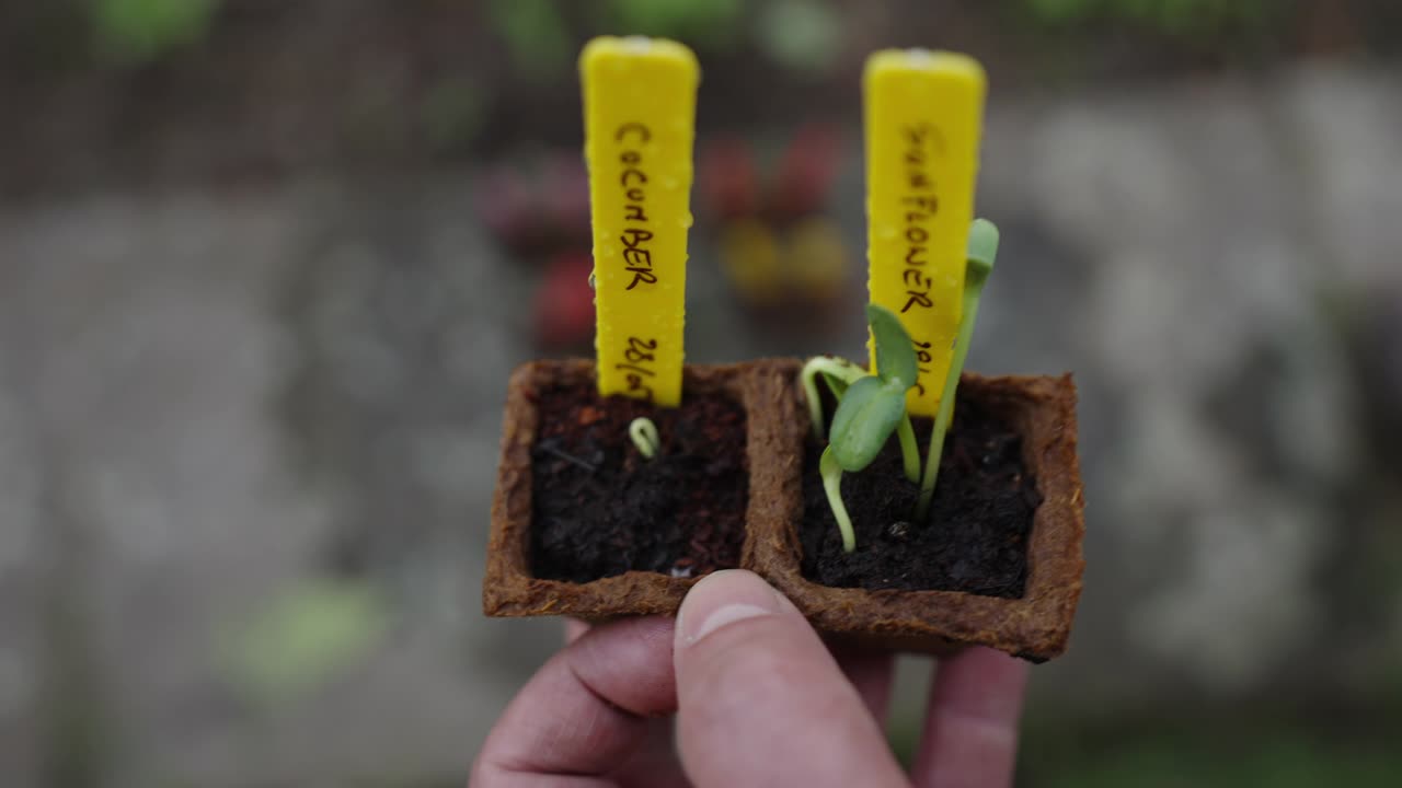 同伴种植视频素材画面1