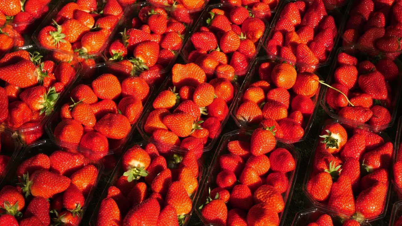 户外食品市场上出售的草莓。法国南部。视频素材画面1