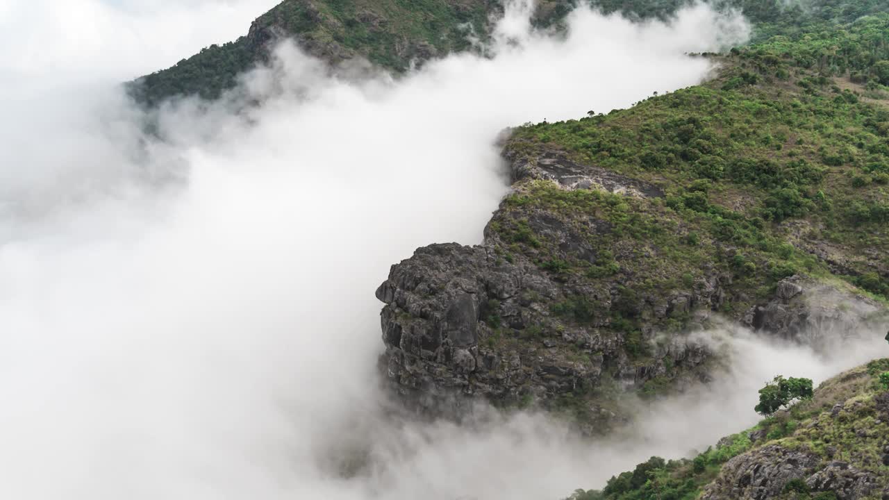 印度泰米尔纳德邦Nilgiris Ooty森林上空的云朵视频下载