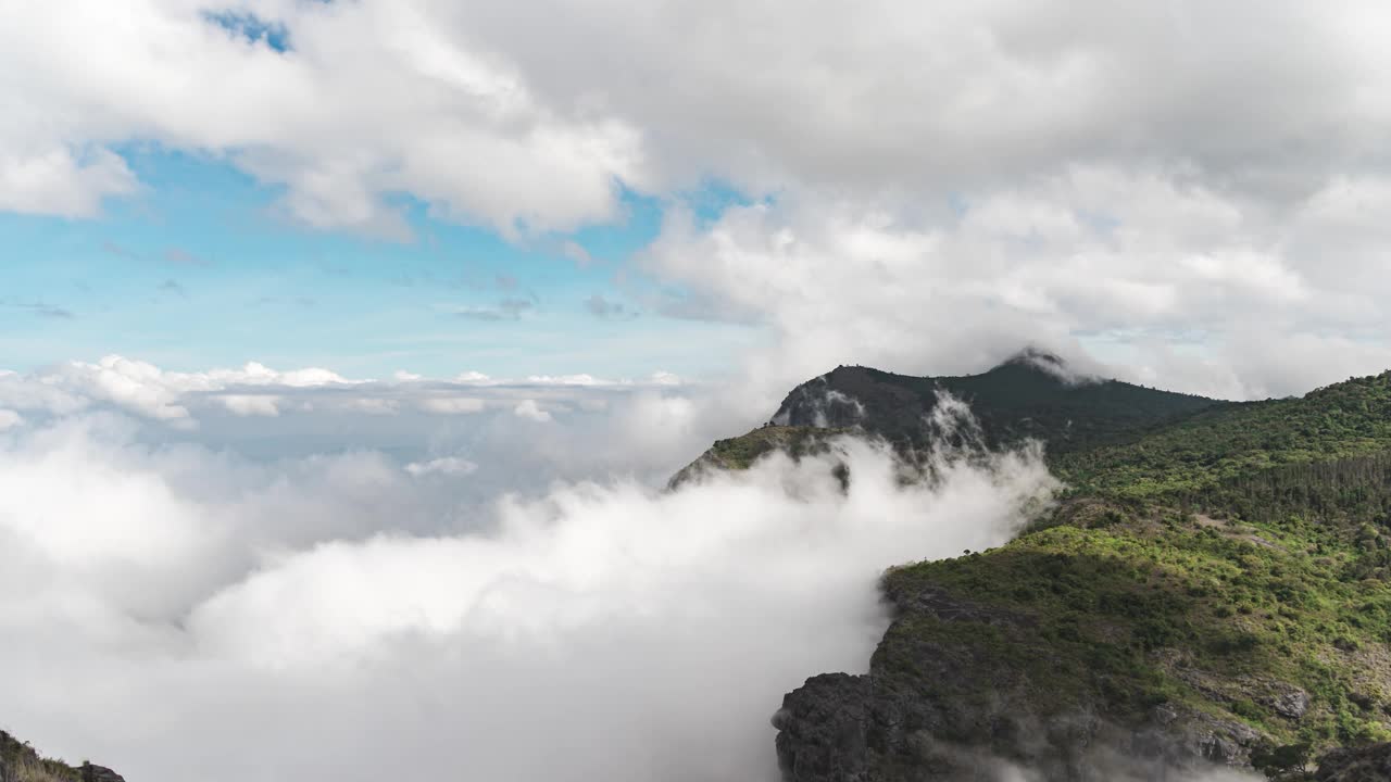 印度泰米尔纳德邦Nilgiris Ooty森林上空的云朵视频下载