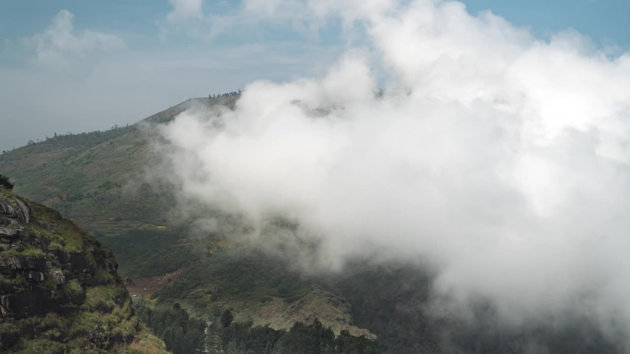 印度泰米尔纳德邦Nilgiris Ooty森林上空的云朵视频下载