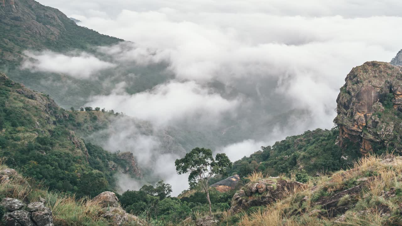 印度泰米尔纳德邦Nilgiris Ooty森林上空的云朵视频下载