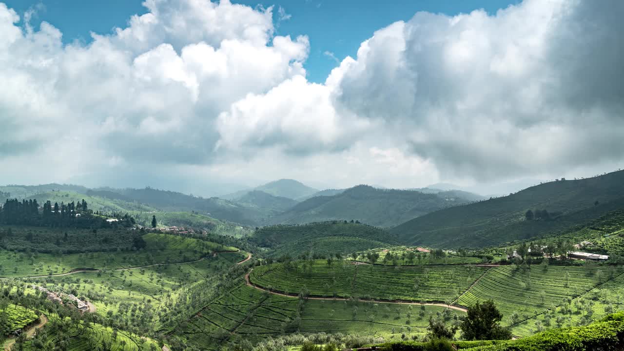 喀拉拉邦Munnar Idukki的茶园视频下载