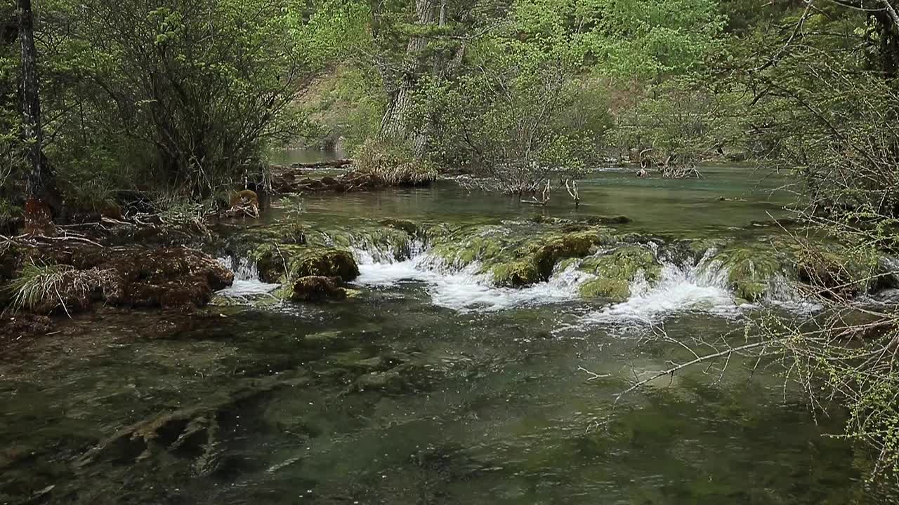 九寨沟风景区的瀑布视频下载