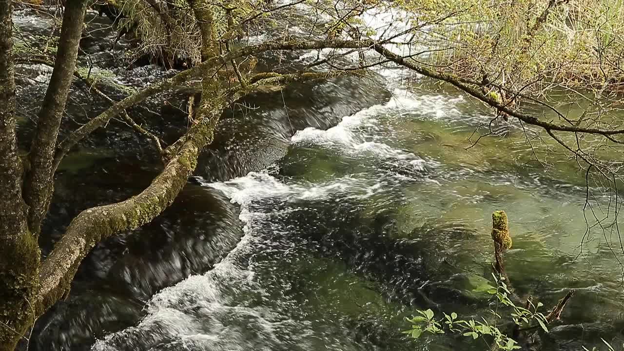 九寨沟风景区的瀑布视频下载