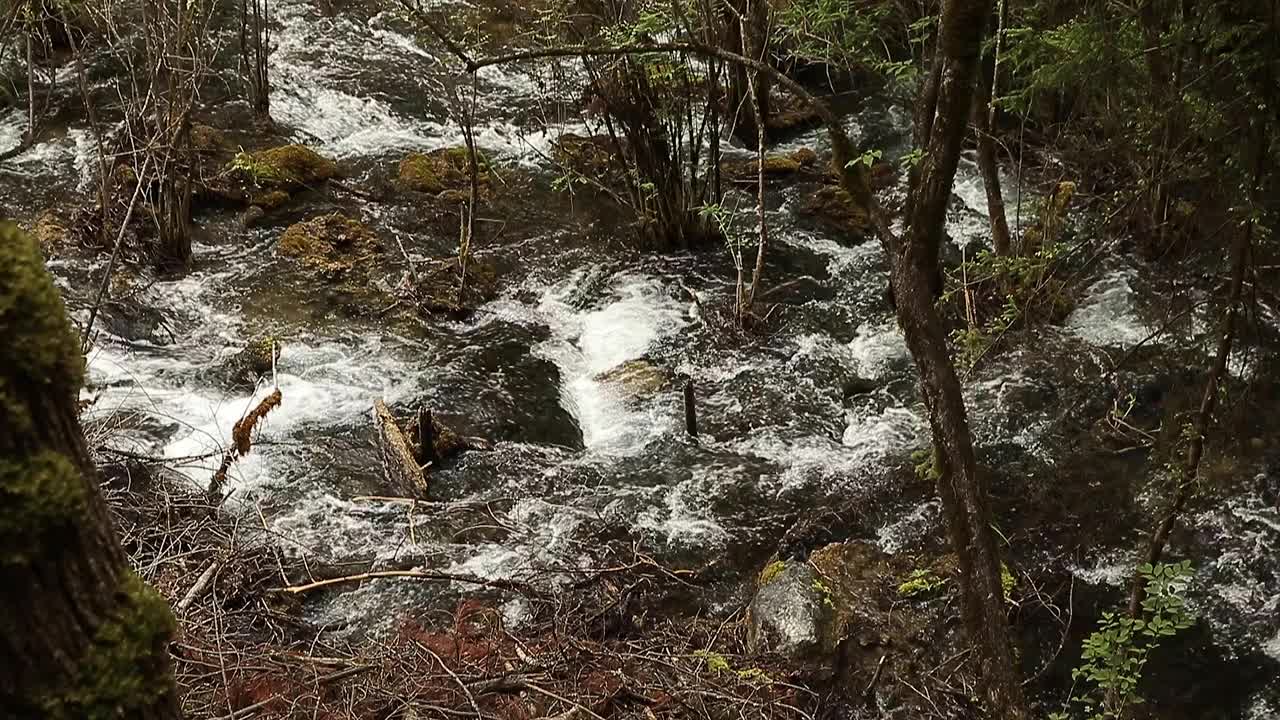 九寨沟风景区的瀑布视频下载