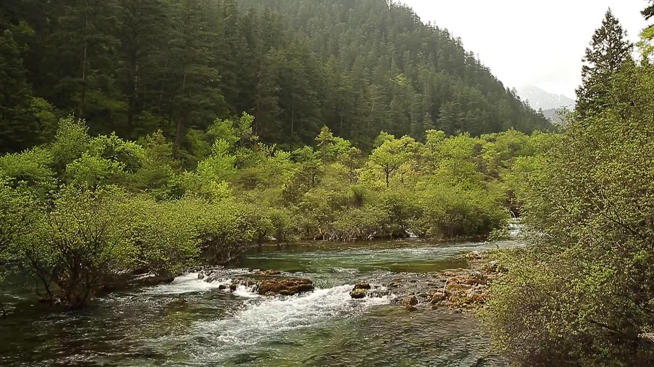 九寨沟风景区的瀑布视频下载