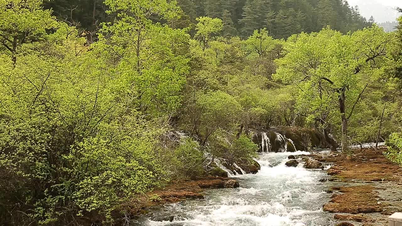 九寨沟风景区的瀑布视频下载