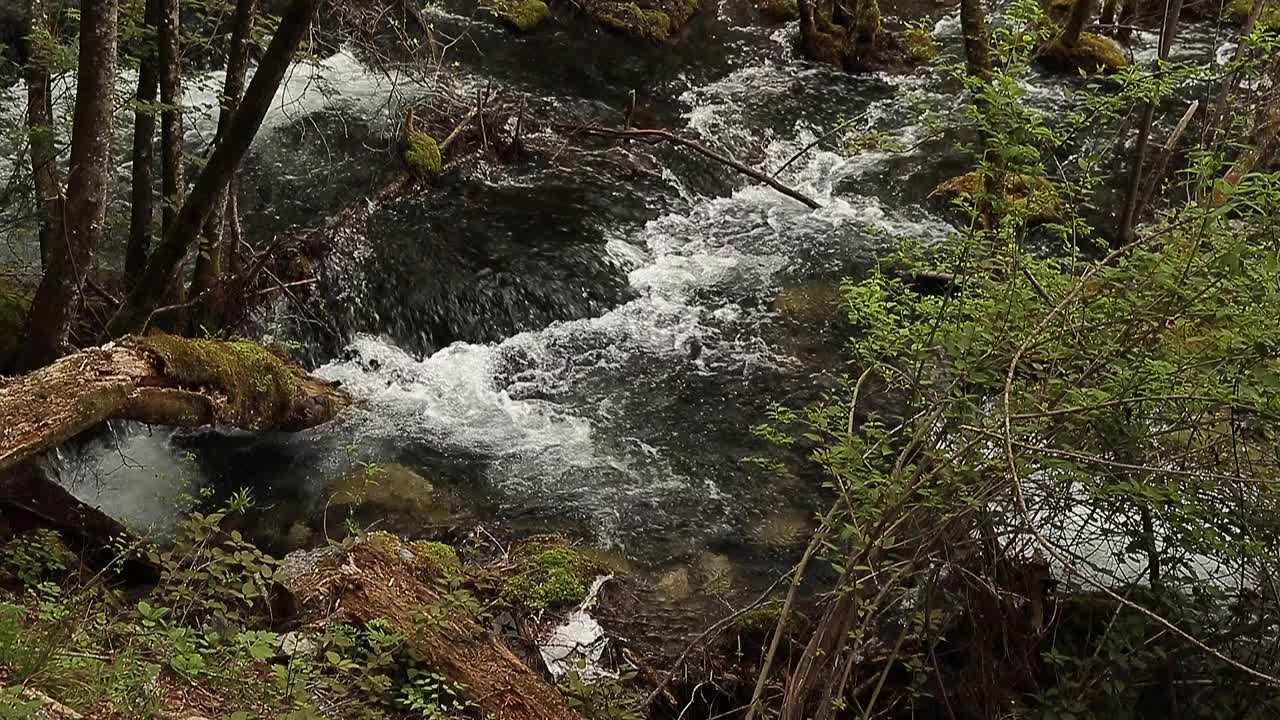 九寨沟风景区的瀑布视频下载