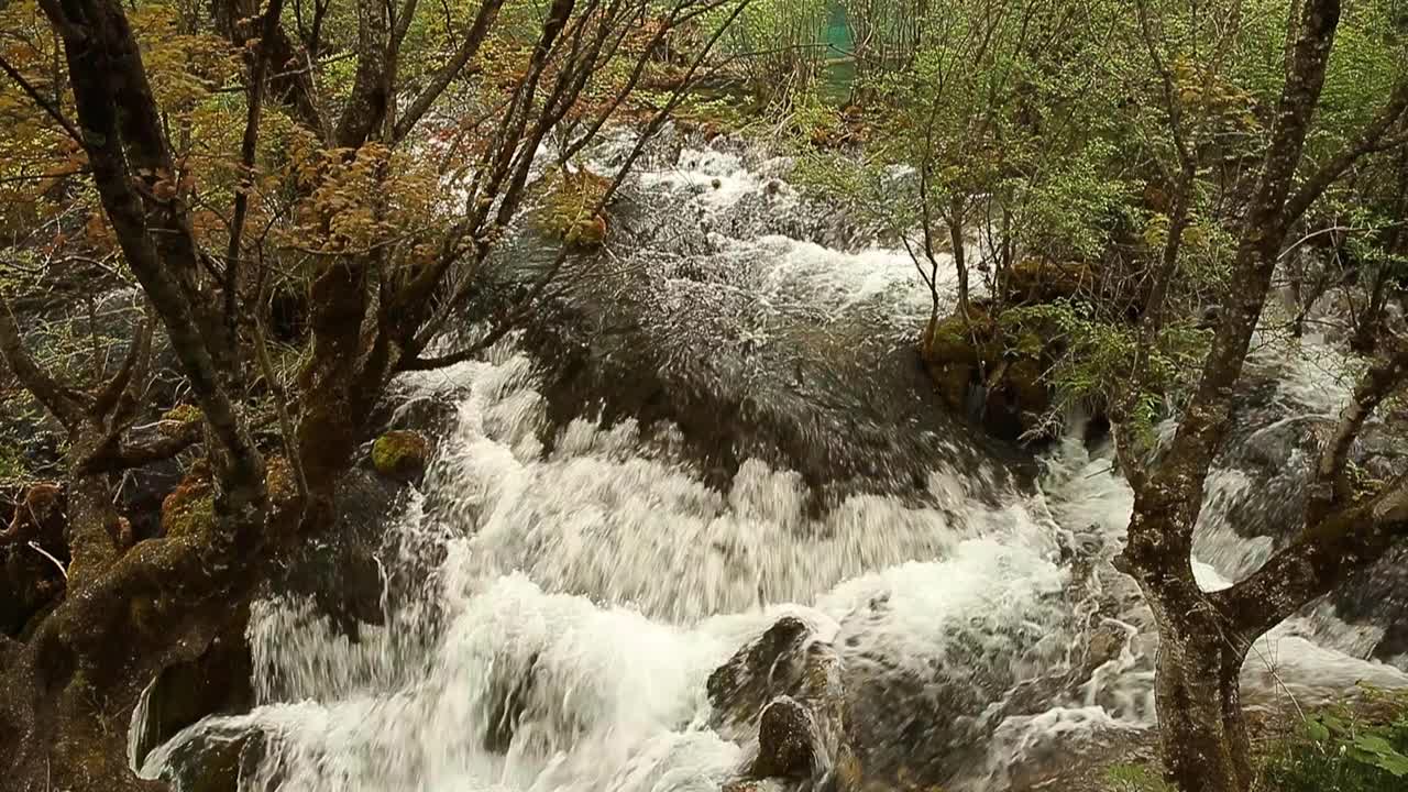 九寨沟风景区的瀑布视频下载