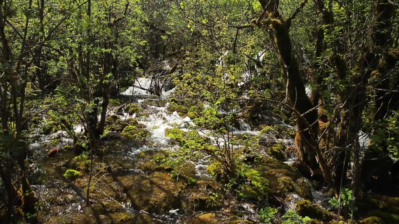 九寨沟风景区的瀑布视频下载