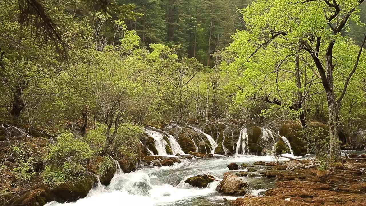 九寨沟风景区的瀑布视频下载