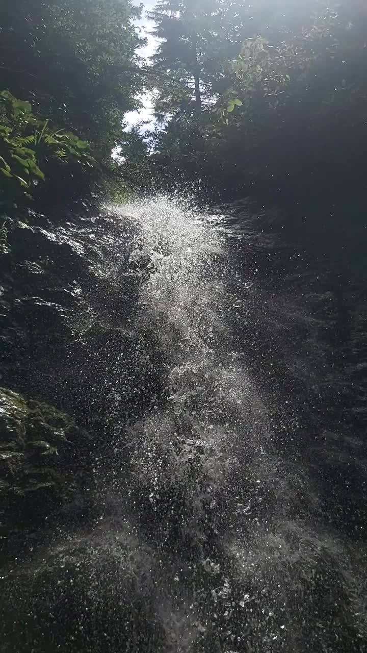 瀑布与卵石池短视频下载