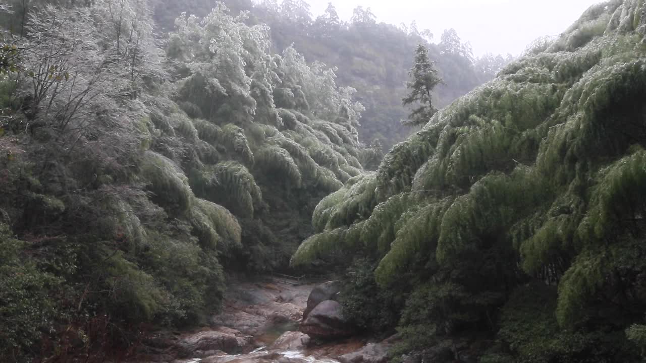 中国黄山翡翠谷的瀑布视频素材