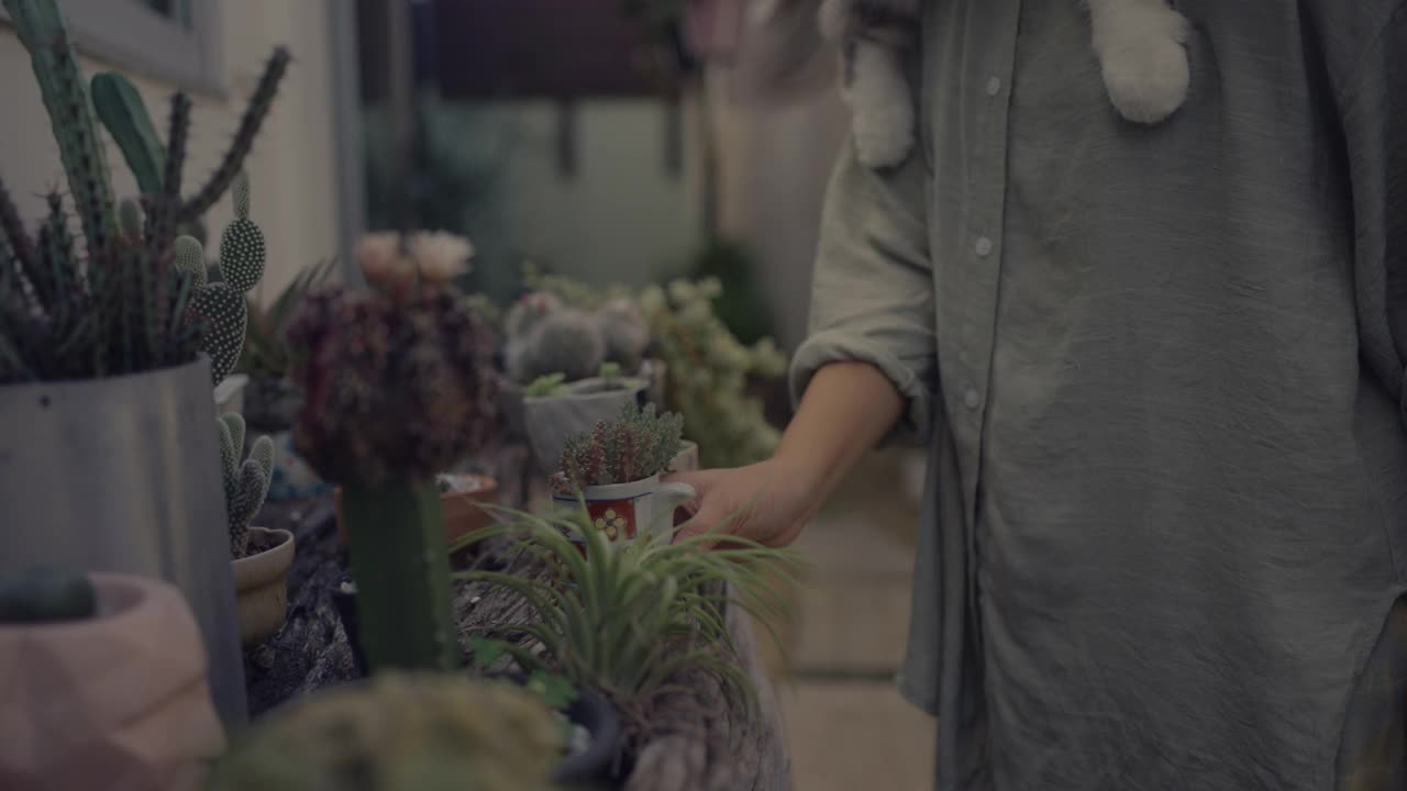 一位妇女在花园里向她的猫展示植物视频素材