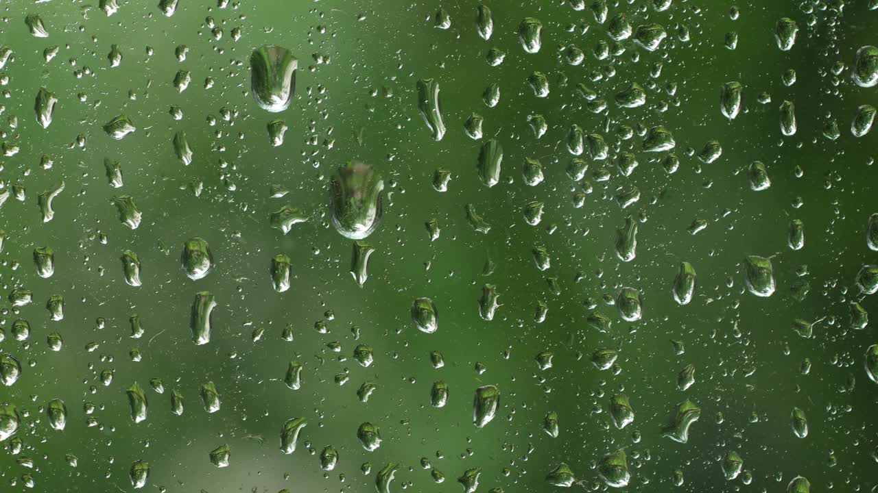 雨滴落在玻璃表面的绿叶背景上。特写平移镜头，实时，没有人，浅景深视频素材