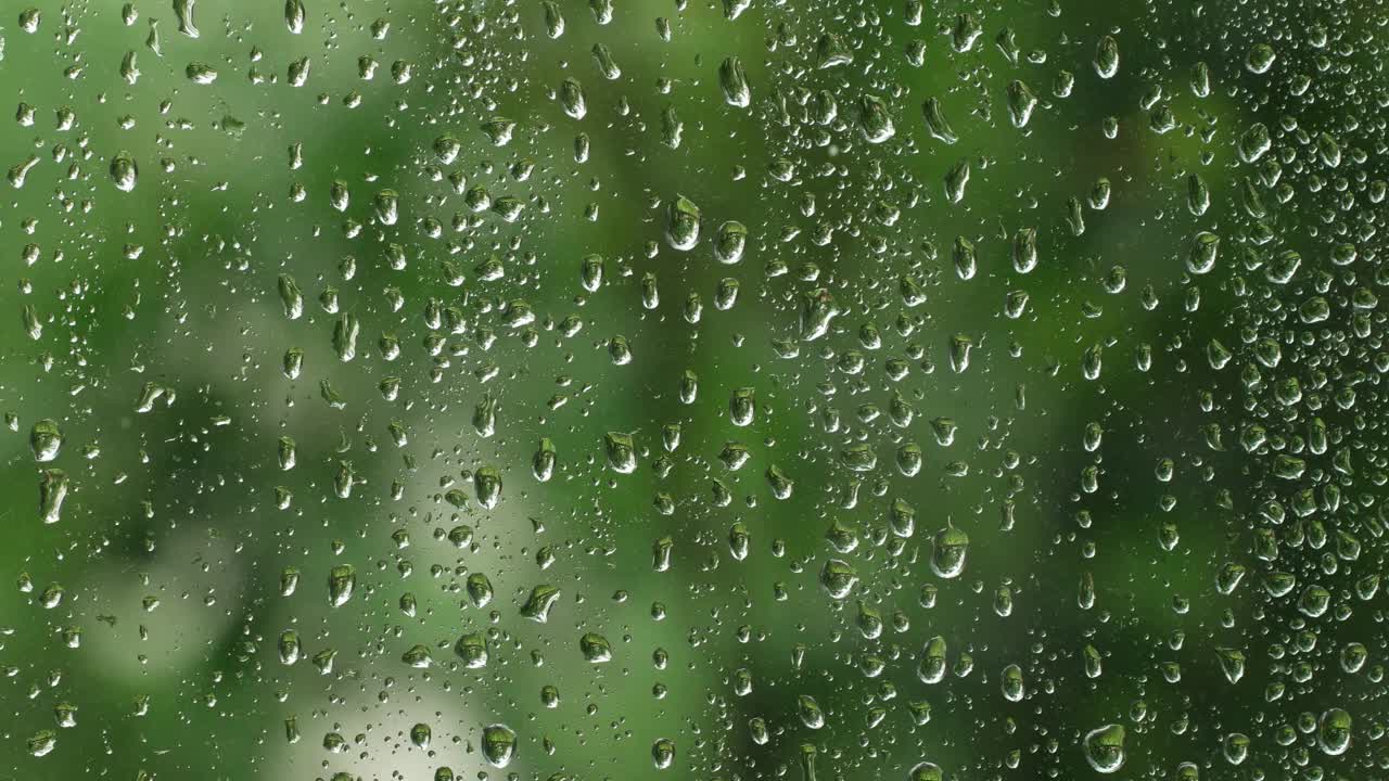 雨滴落在玻璃表面的绿叶背景上。特写平移镜头，实时，没有人，浅景深视频素材