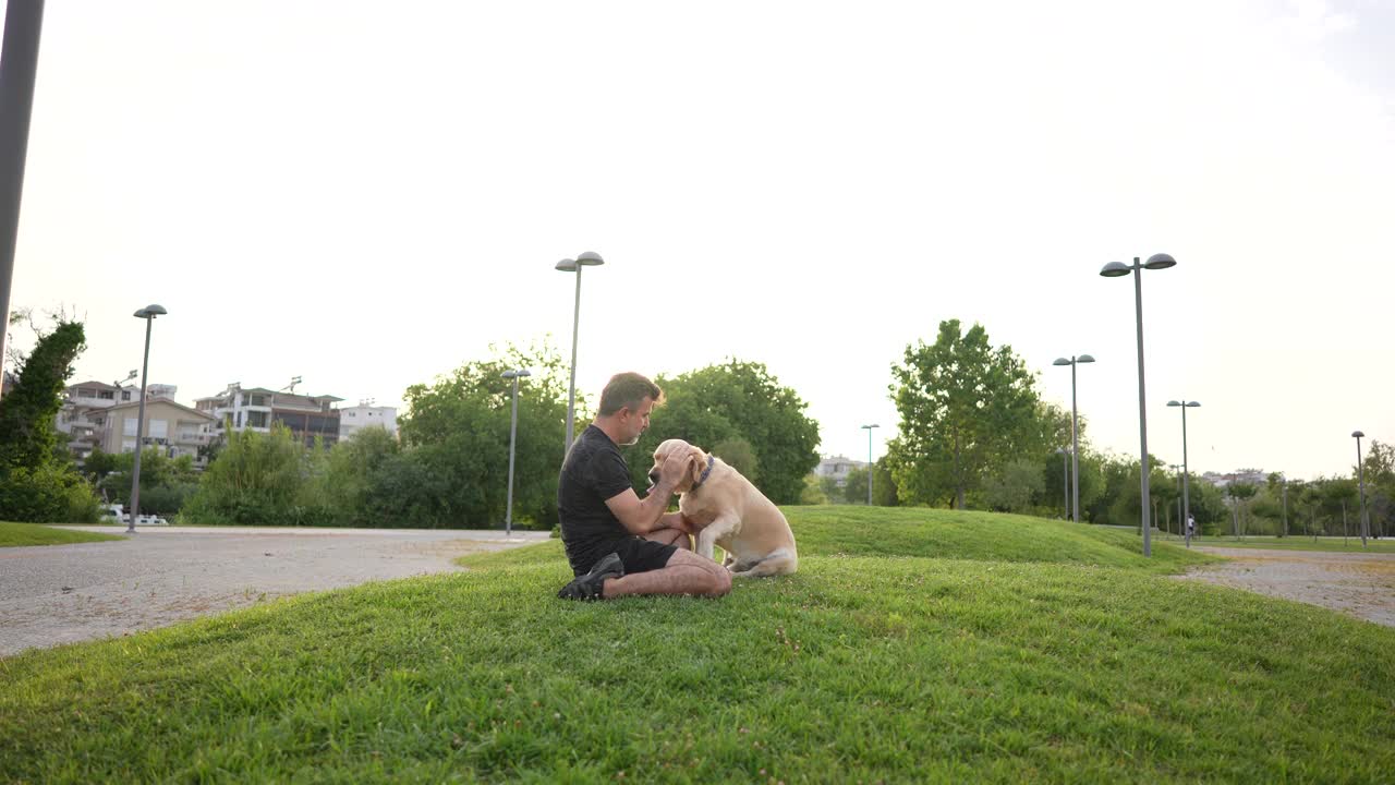 一名男子和他的金毛寻回犬在户外玩耍。视频素材