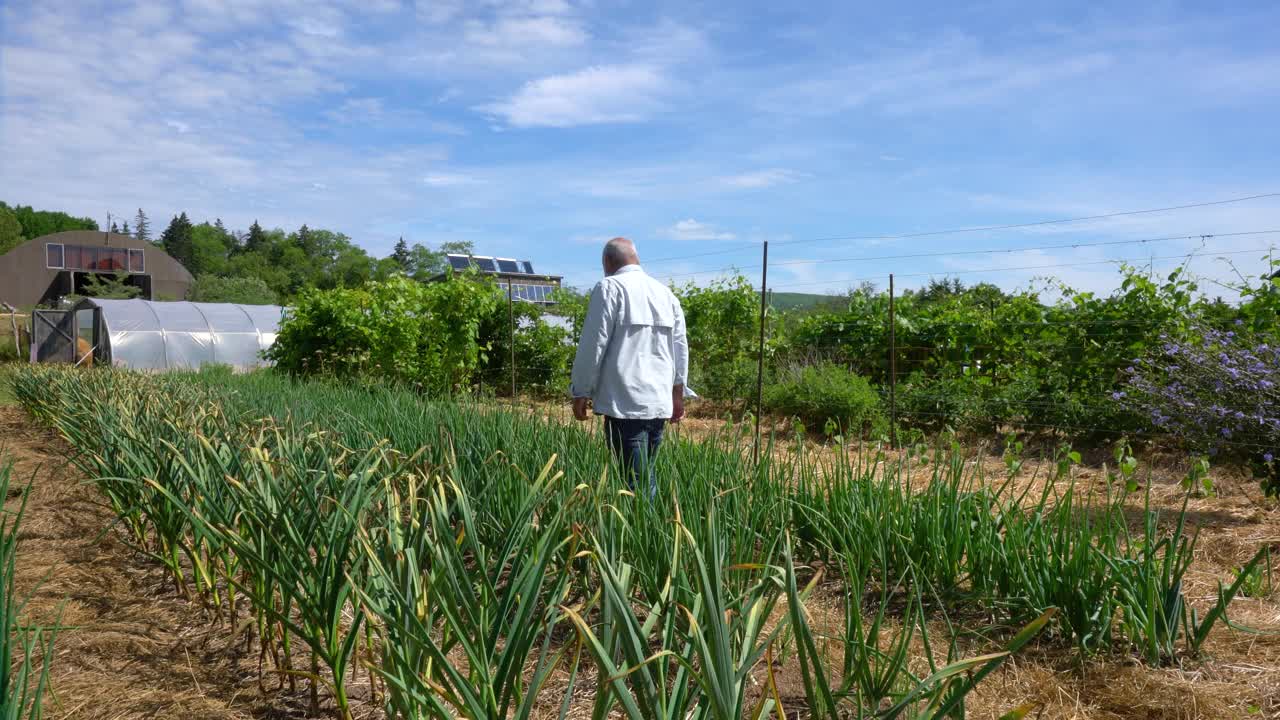 检查蔬菜园视频素材