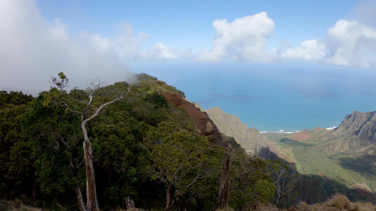 考艾岛，夏威夷，纳帕利海岸，美丽的山景和海景视频素材