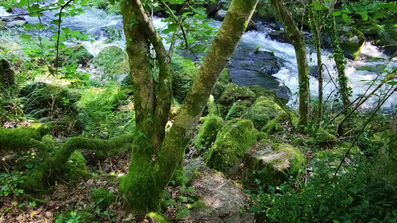 乌米亚河的急流，蓬特韦德拉省，西班牙视频素材