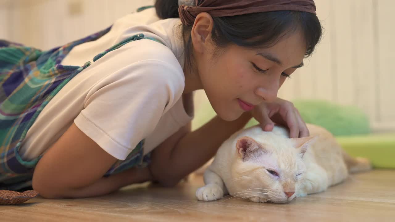 年轻的亚洲女人在地板上玩可爱的猫视频素材