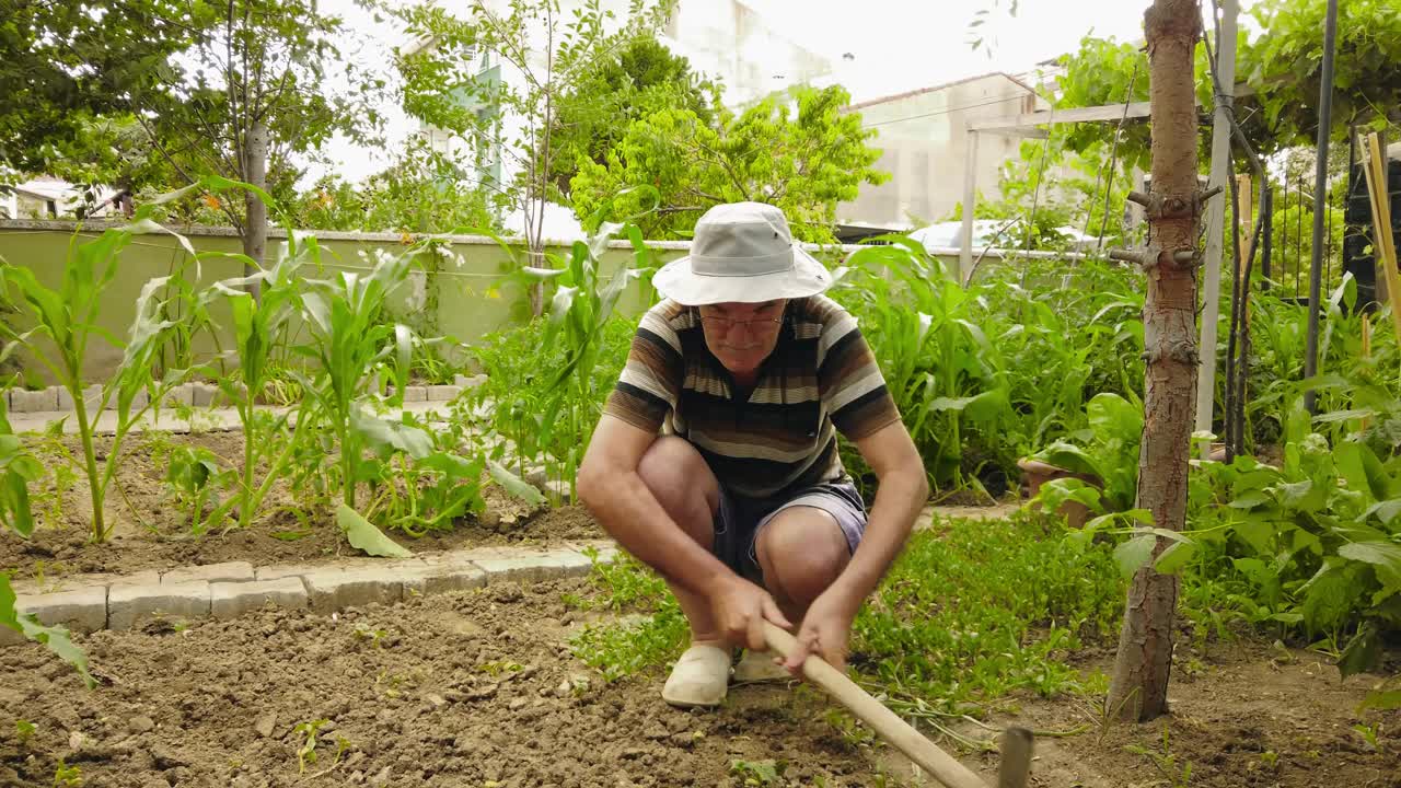 年长的农民在花园里照料植物视频素材