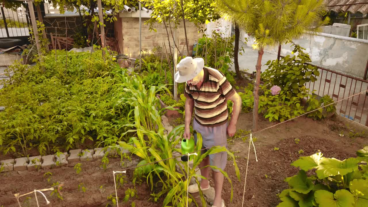 一位年长的农夫在花园里用喷壶给植物浇水视频素材