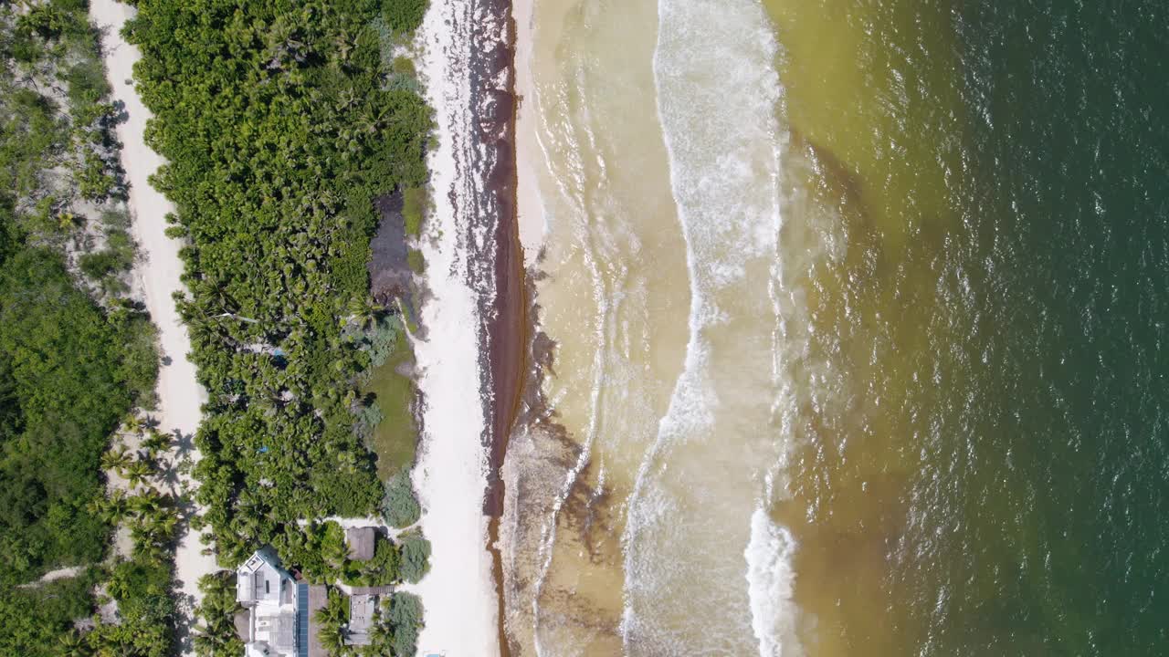 鸟瞰热带海滩和棕榈树。蓝色的海浪拍打着沙滩。墨西哥海滩上的天堂海水。视频素材