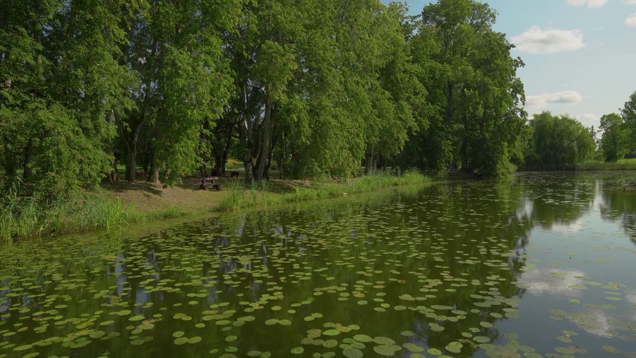 夏天公园里的池塘视频素材