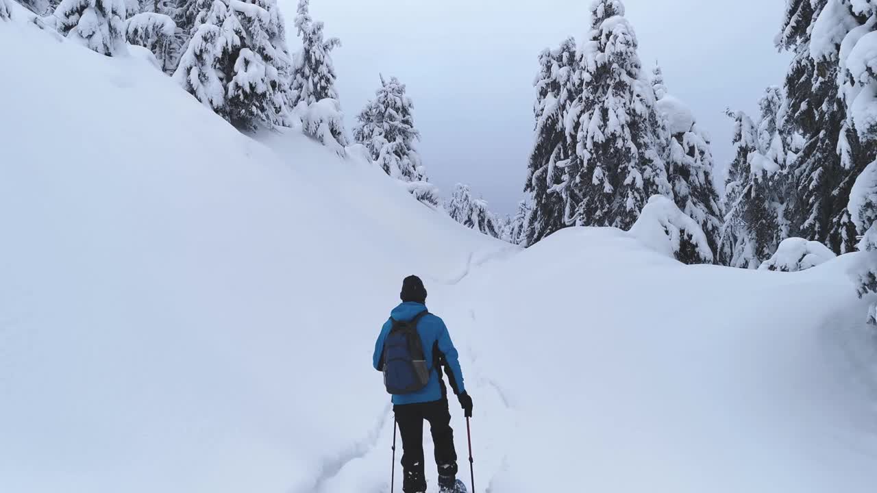 一名游客穿着夹克，穿着雪鞋，拄着拐杖，沿着小路进行冬季徒步旅行。视频素材