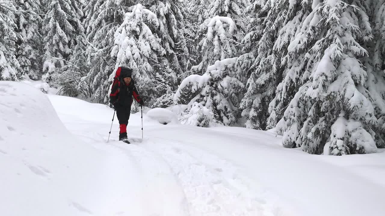 一名背着背包的游客在白雪皑皑的森林里走着。前视图。视频素材