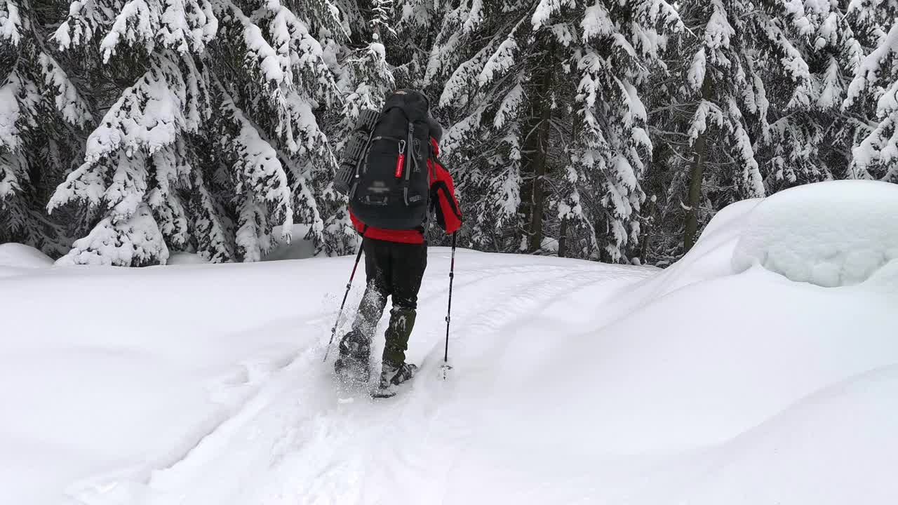 在冬天的森林里，一名男子穿着雪鞋，背着背包，拄着登山杖，沿着积雪覆盖的小路行走。视频素材