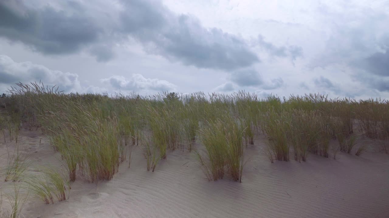 夏天在波罗的海沙滩上视频素材