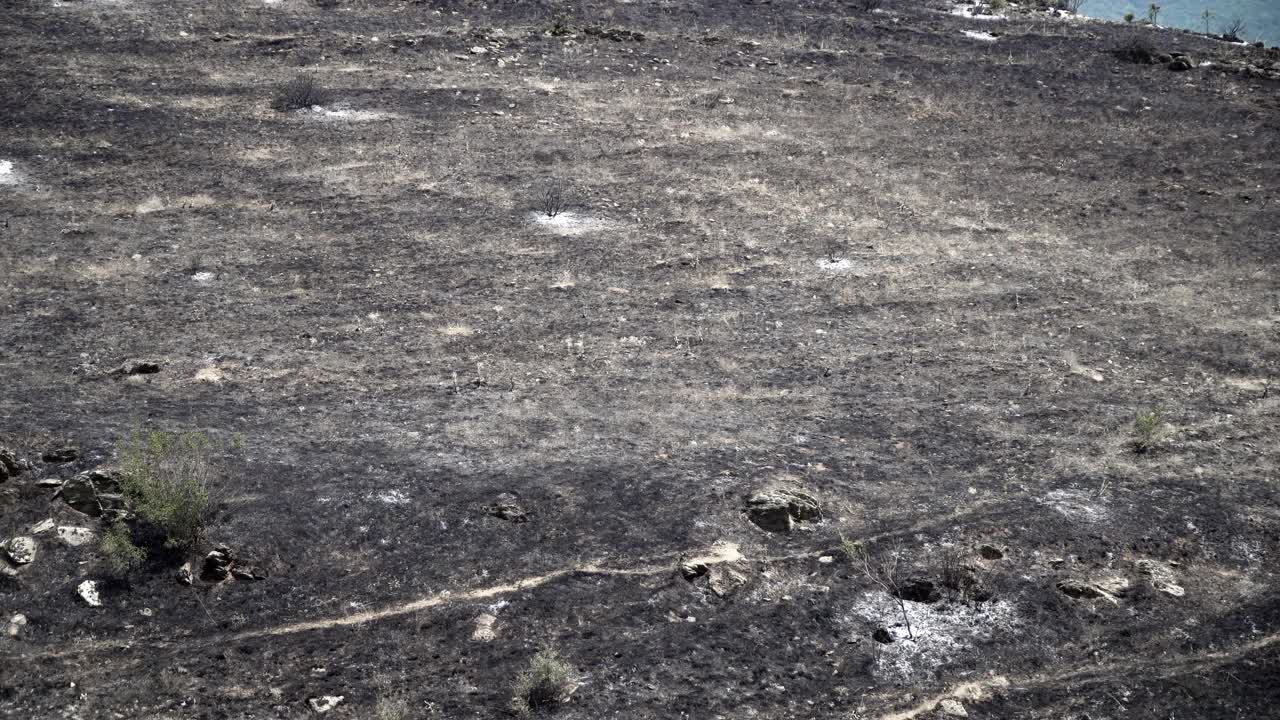 丛林大火后被烧毁的山峦的全景视频素材