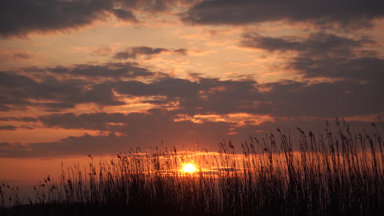 荷兰风景中的日落/ Zonsondergang视频素材