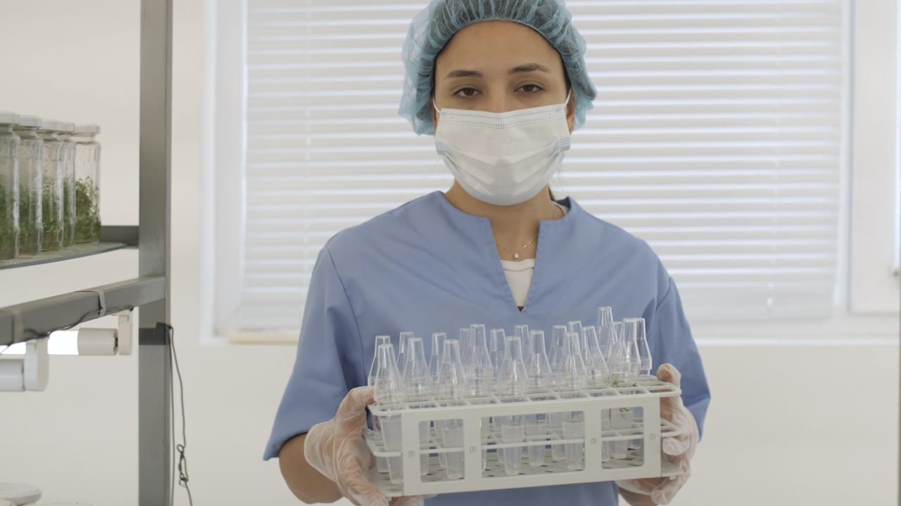 科学家在植物学实验室检查离体植物。视频素材画面1