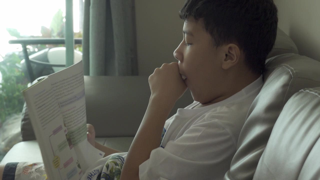 一个在学校读书的小男孩正在网上教书。视频素材画面1