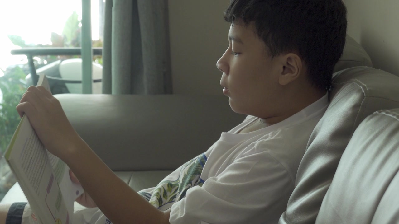一个在学校读书的小男孩正在网上教书。视频素材画面2