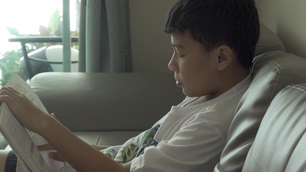一个在学校读书的小男孩正在网上教书。视频素材画面3