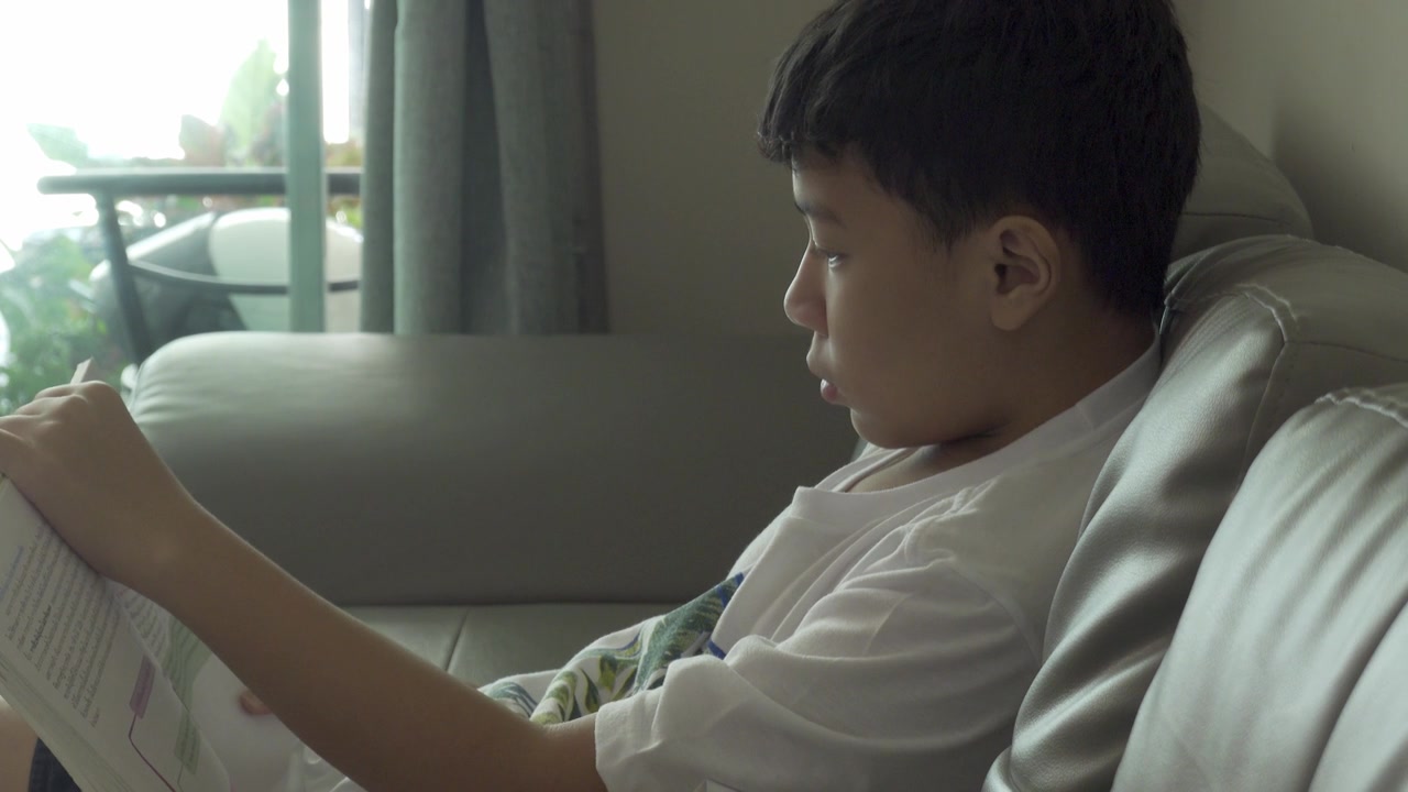 一个在学校读书的小男孩正在网上教书。视频素材画面4