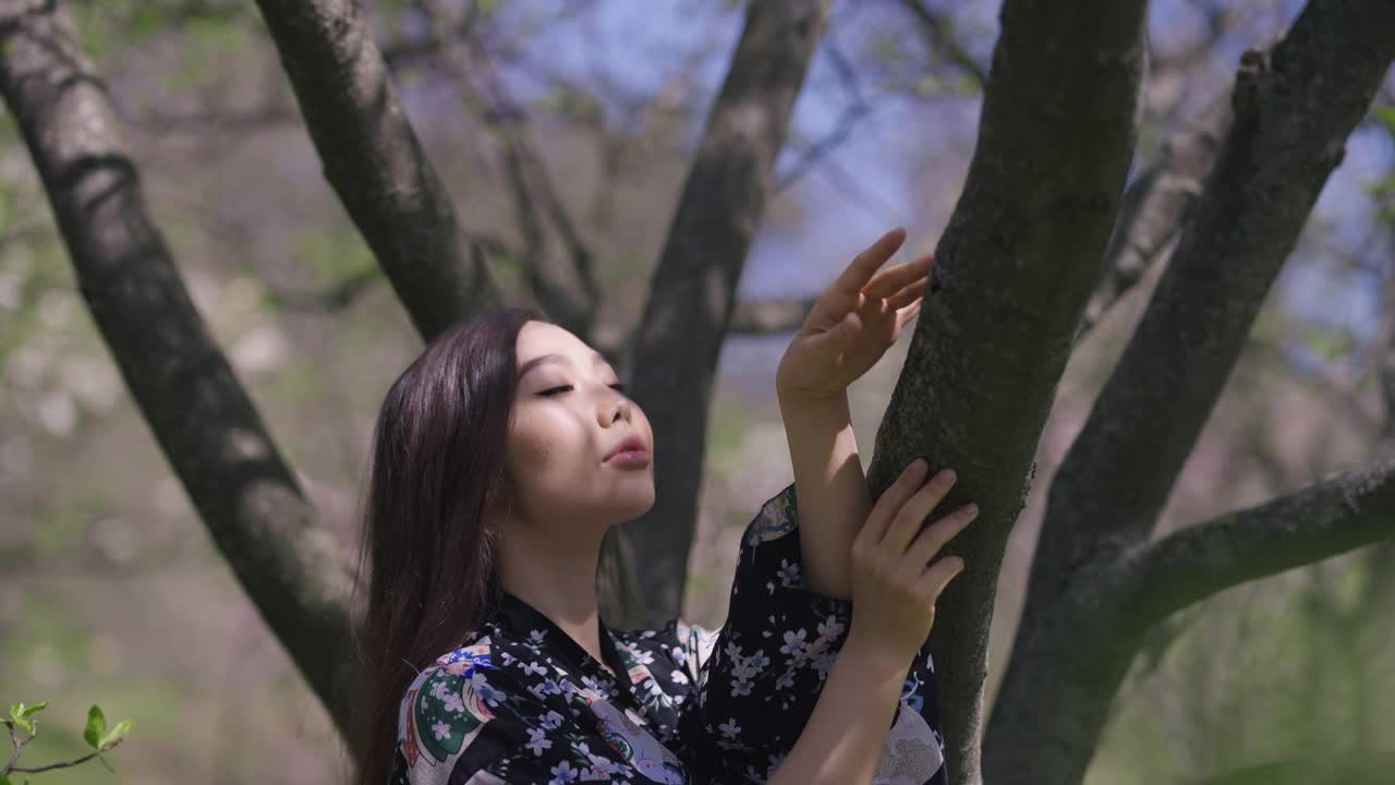 年轻的亚洲女子在樱花园里触摸树枝，微笑着看着镜头跳舞。在春天公园的户外，穿着和服的漂亮女士的肖像。快乐和生活方式。视频素材