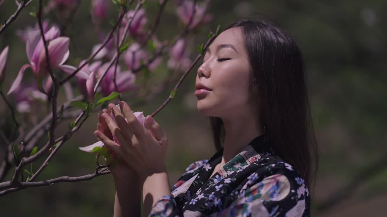 年轻美丽的亚洲女子欣赏着树枝上粉红色的樱花，看着镜头抚摸着脸。自信迷人的美女肖像穿着和服在阳光下摆姿势户外。视频素材