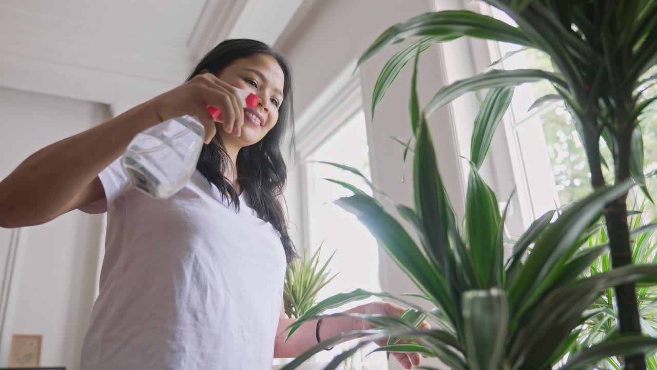 妇女在家里给植物浇水视频素材