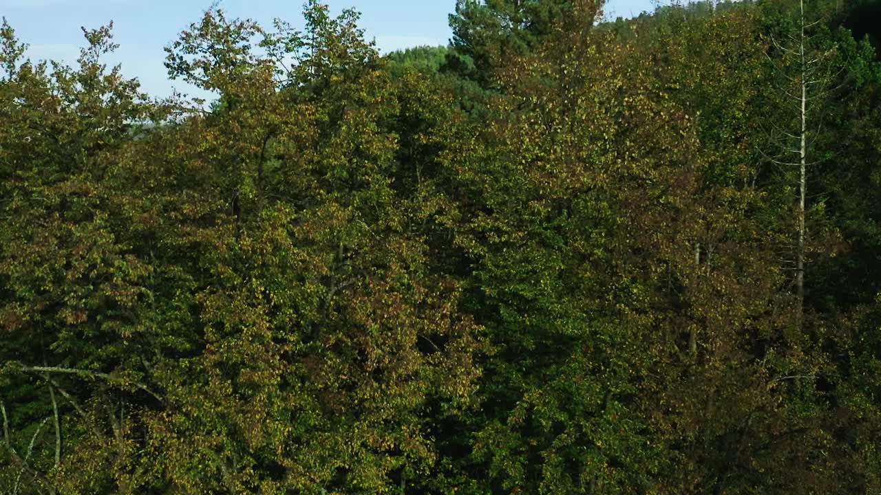 位于乌克兰喀尔巴阡山区的山村，俯瞰山村的群山，风景如画。视频素材