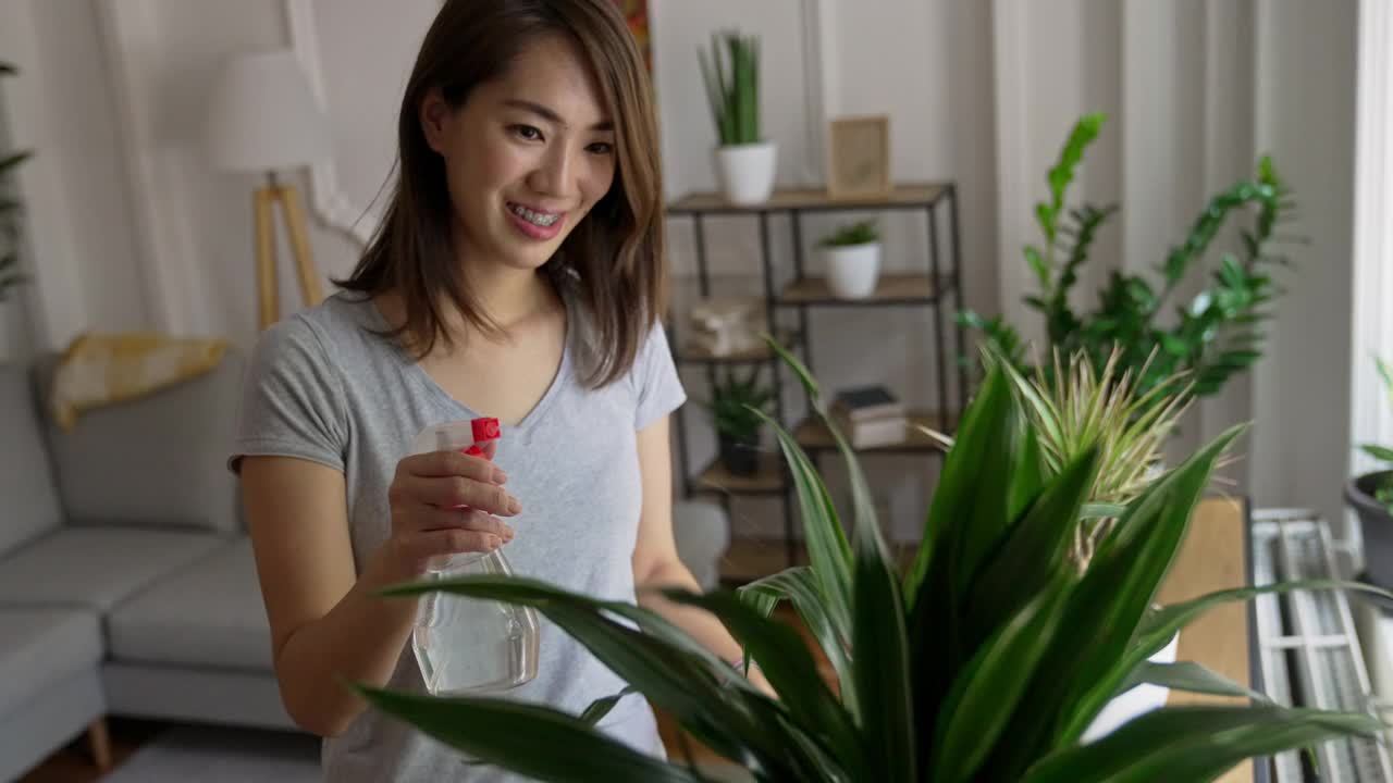 日本妇女在家里给植物浇水视频素材